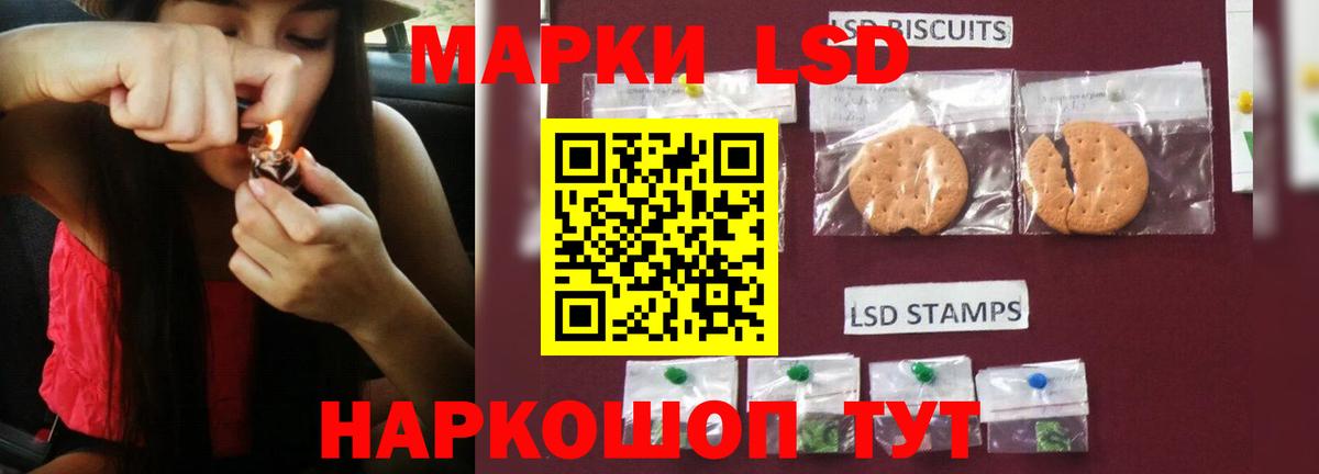 LSD-25 экстази кислота  Новороссийск  LSD-25 экстази ecstasy 