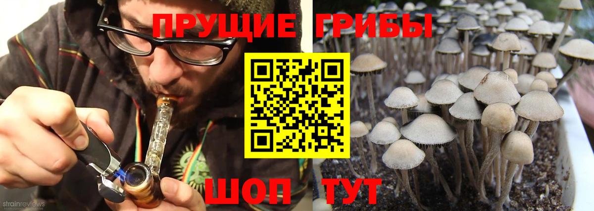 Галлюциногенные грибы мухоморы Новороссийск