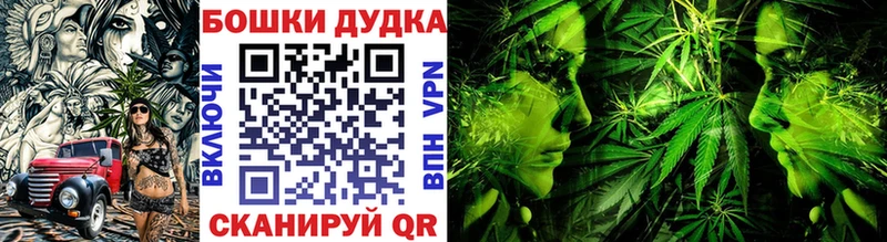 Бошки марихуана ГИДРОПОН  Новороссийск 